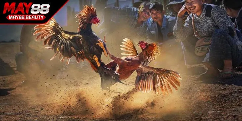 Chi tiết những ưu, nhược điểm cần nắm vững khi tham gia