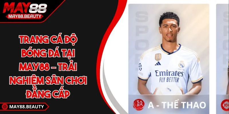 Trang cá độ bóng đá